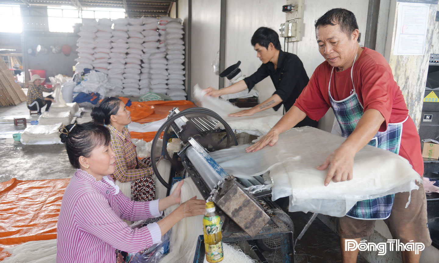 Chị Kim Phượng (bìa trái) trực tiếp tham gia công đoạn cắt bánh hủ tiếu.