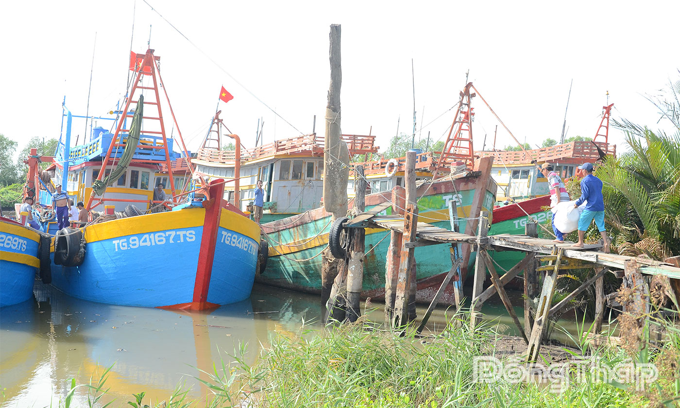 Đồng Tháp đang nỗ lực cùng cả nước gỡ