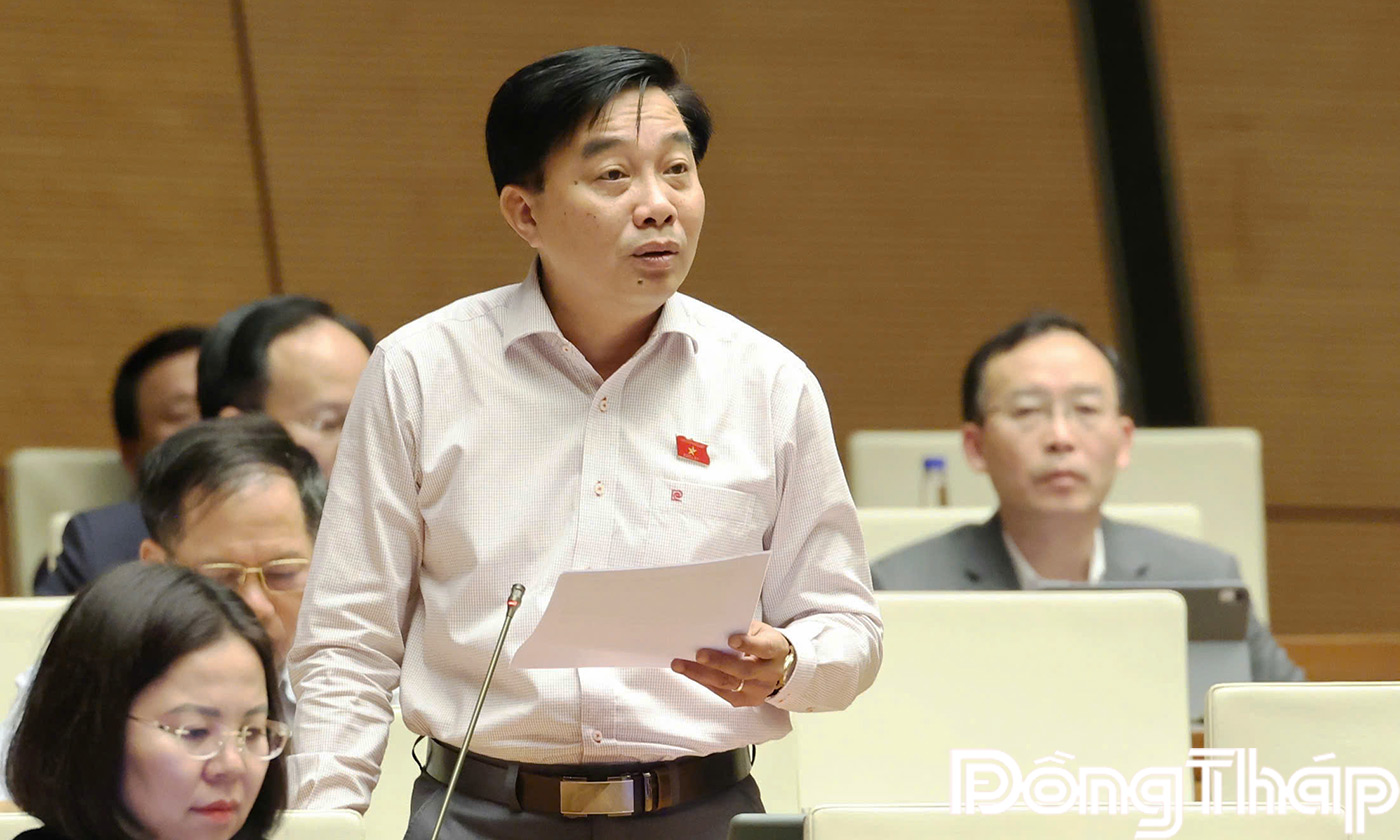 Đại biểu Nguyễn Minh Sơn phát biểu thảo luận tại hội trường