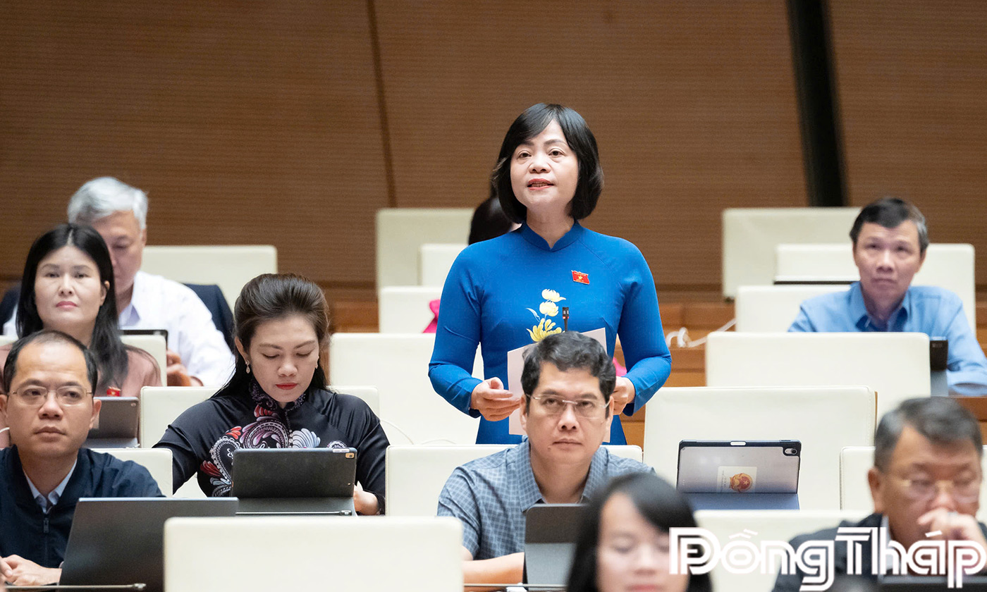 Đại biểu Nguyễn Thanh Cầm phát biểu thảo luận tại hội trường