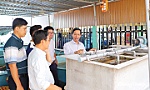 Vòng tuần hoàn xanh trong phát triển nghề nuôi lươn ở Hồng Ngự