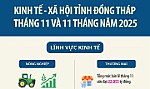 [Infographic] Kinh tế - xã hội tỉnh Đồng Tháp tháng 11 và 11 tháng năm 2025
