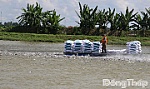 Đồng Tháp: Để nuôi trồng, khai thác thủy sản mang lại hiệu quả cao