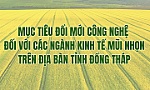 [Infographic] Đổi mới công nghệ trên địa bàn tỉnh Đồng Tháp đối với các ngành kinh tế mũi nhọn