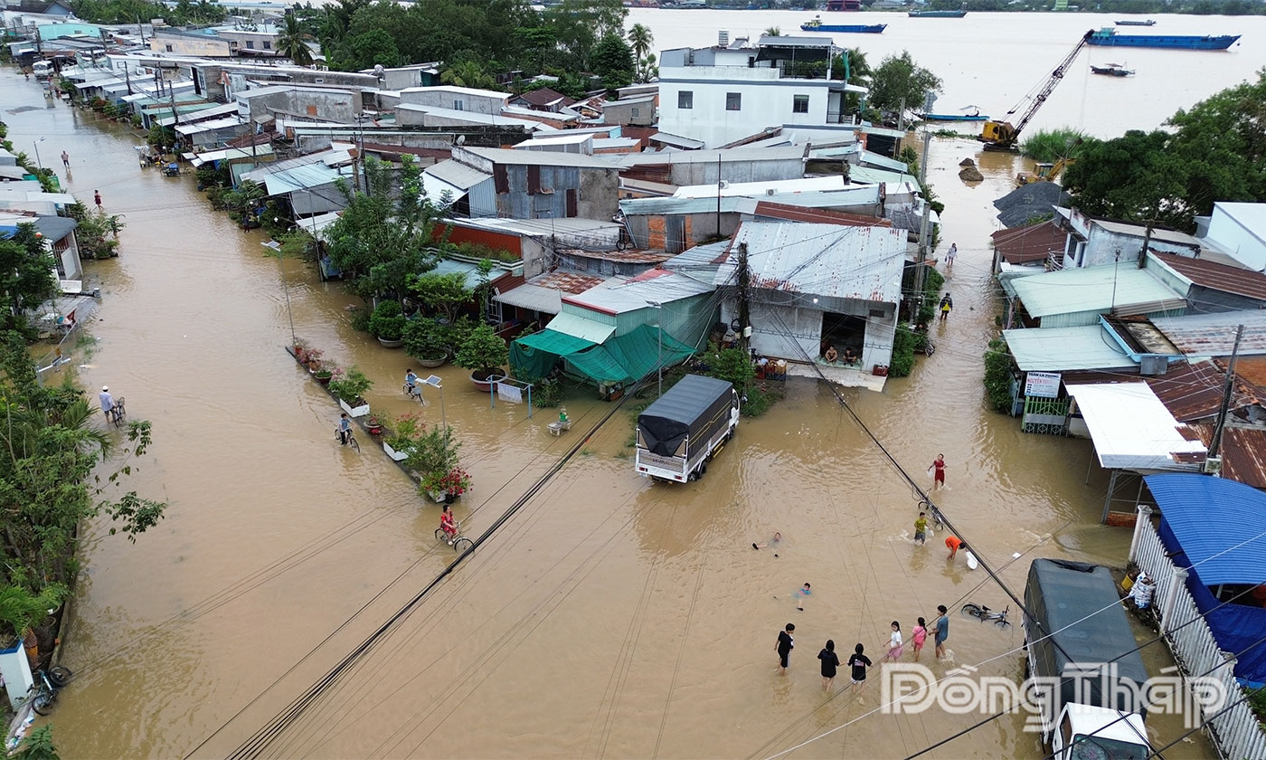 Đồng Tháp: Người dân chật vật ứng phó triều cường