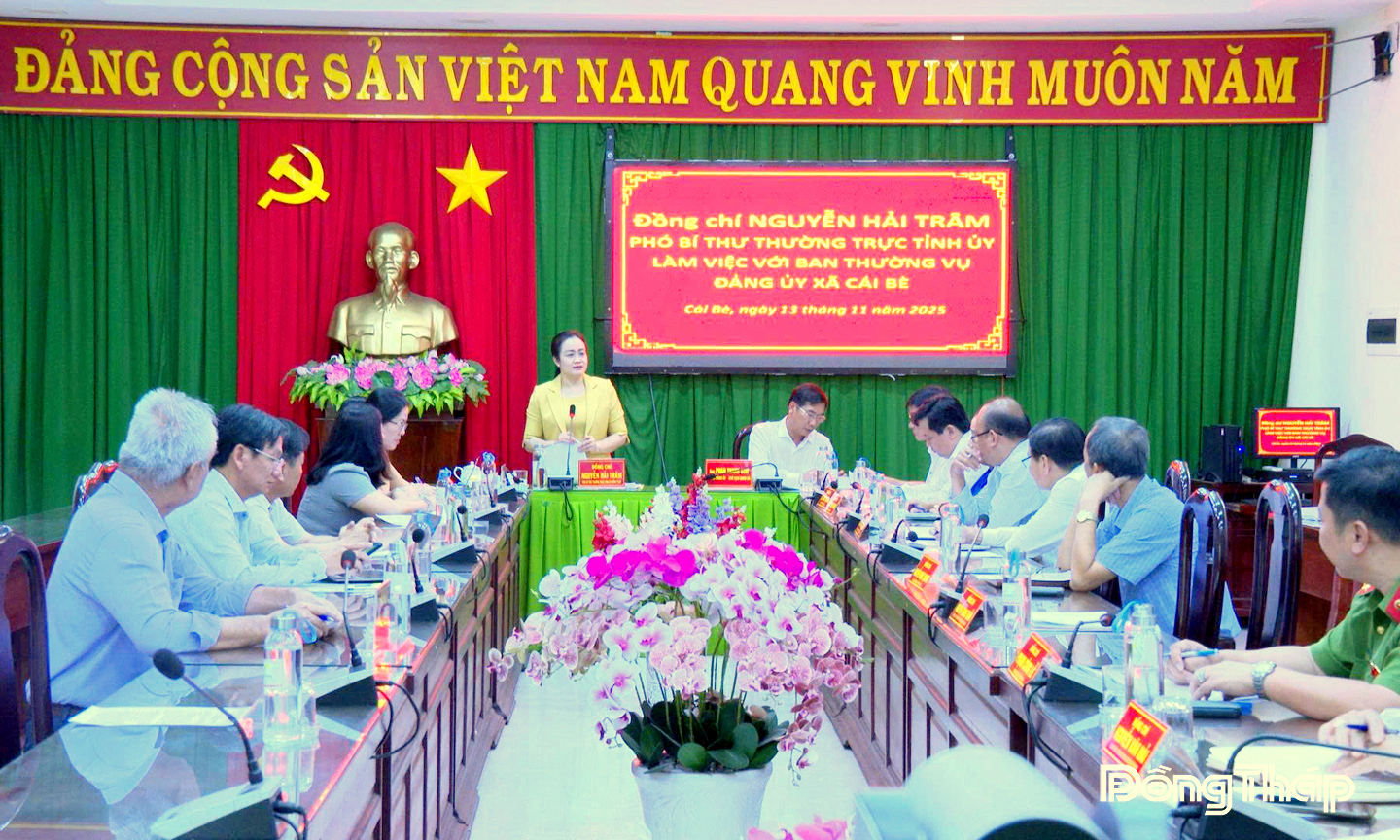 Phó Bí thư Thường trực Tỉnh ủy Nguyễn Hải Trâm: Kiểm tra công tác thực hiện chính quyền cấp xã tại Cái Bè