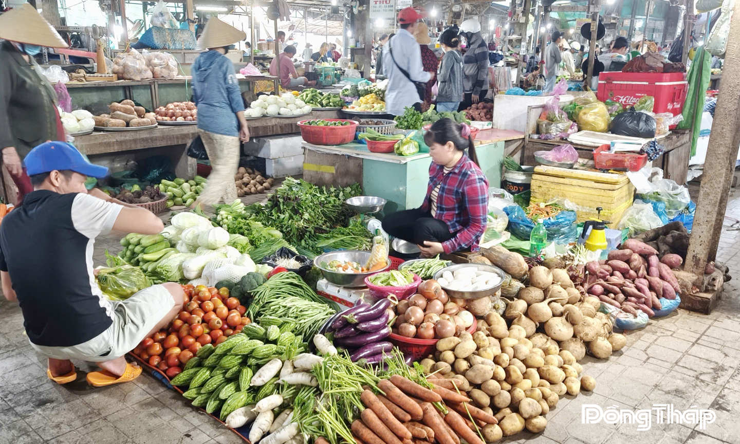 Đồng Tháp: Rau màu khan hàng, 