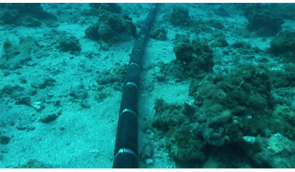 Cáp quang biển - xương sống mong manh của AI và Internet toàn cầu