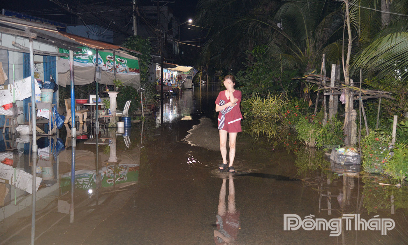 Đồng Tháp: Triều cường xuống dần nhưng vẫn ở mức cao