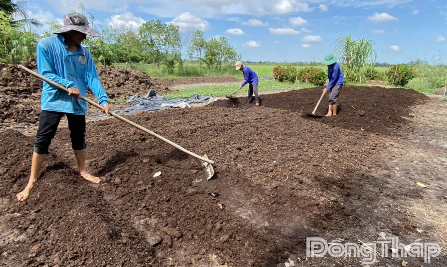 Xây dựng mô hình ứng dụng cơ giới hóa thu gom rơm rạ làm nguyên liệu sản xuất nấm, phân bón