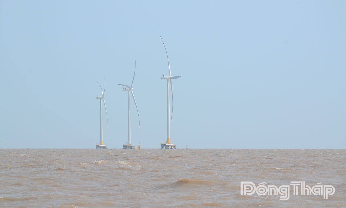 Cảnh báo gió mạnh, sóng lớn tại vùng biển Đồng Tháp