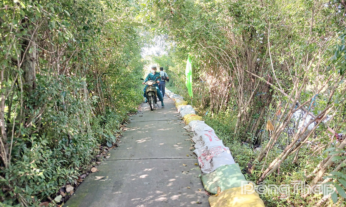 Xã Long Tiên chủ động gia cố các tuyến đê bao để ứng phó triều cường.