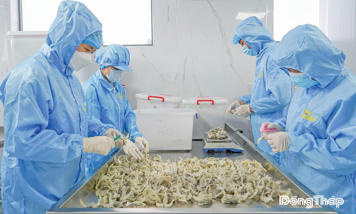  Các doanh nghiệp, cơ sở trên địa bàn tỉnh phát triển đa dạng các sản phẩm từ tổ yến.