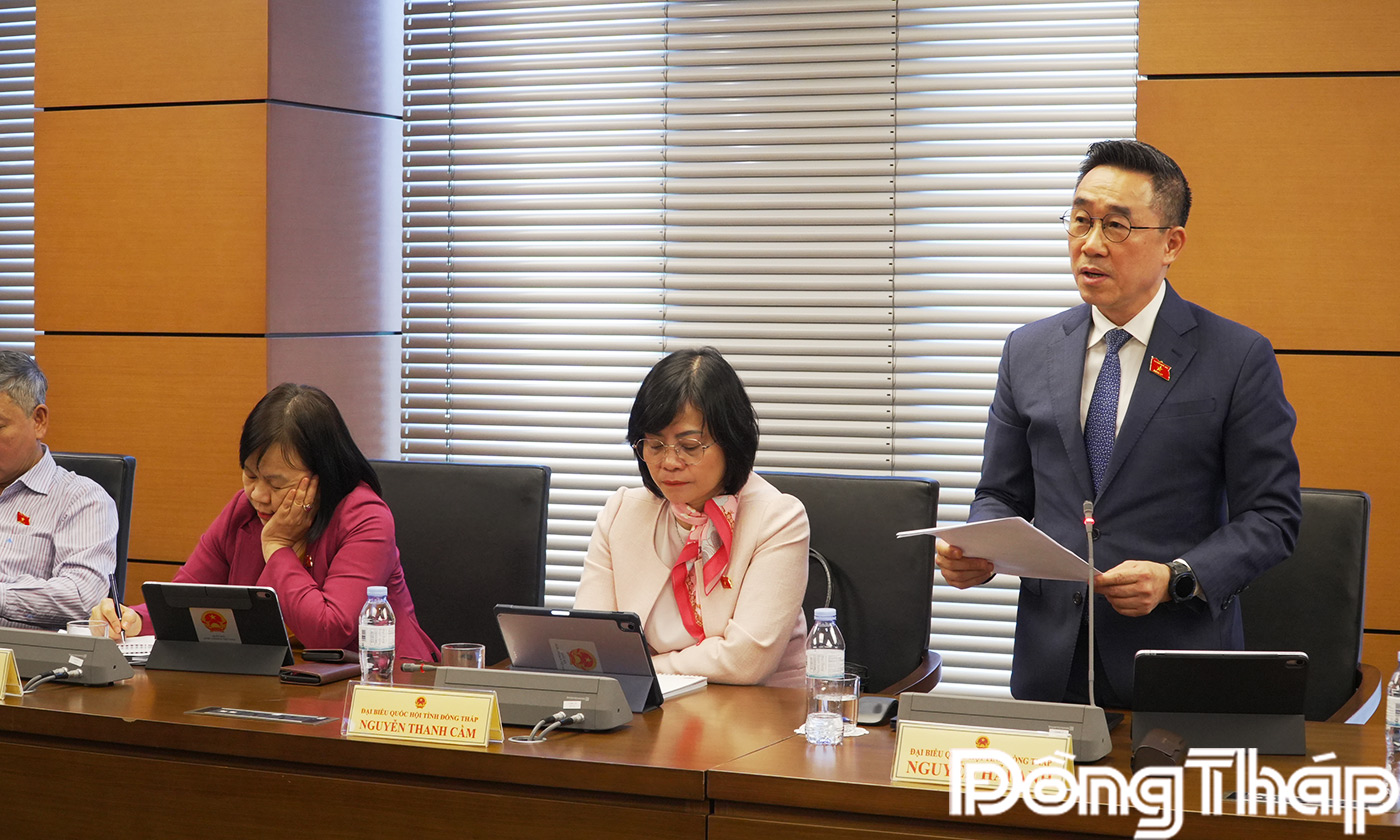 Đại biểu Nguyễn Hải Anh phát biểu