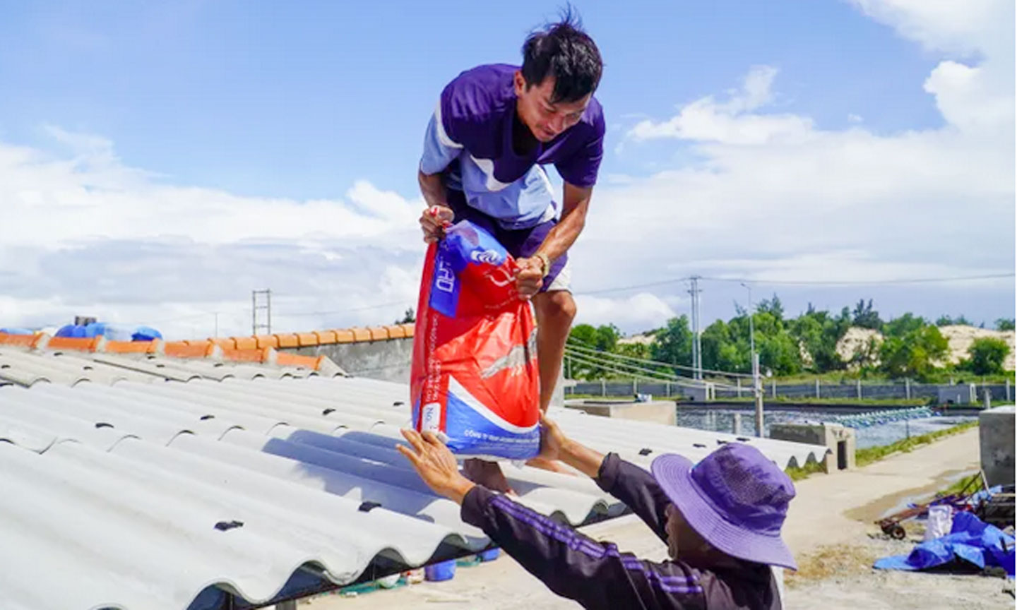 Người dân xã Đại Lãnh (tỉnh Khánh Hòa) gia cố lại mái tôn ứng phó bão số 13.