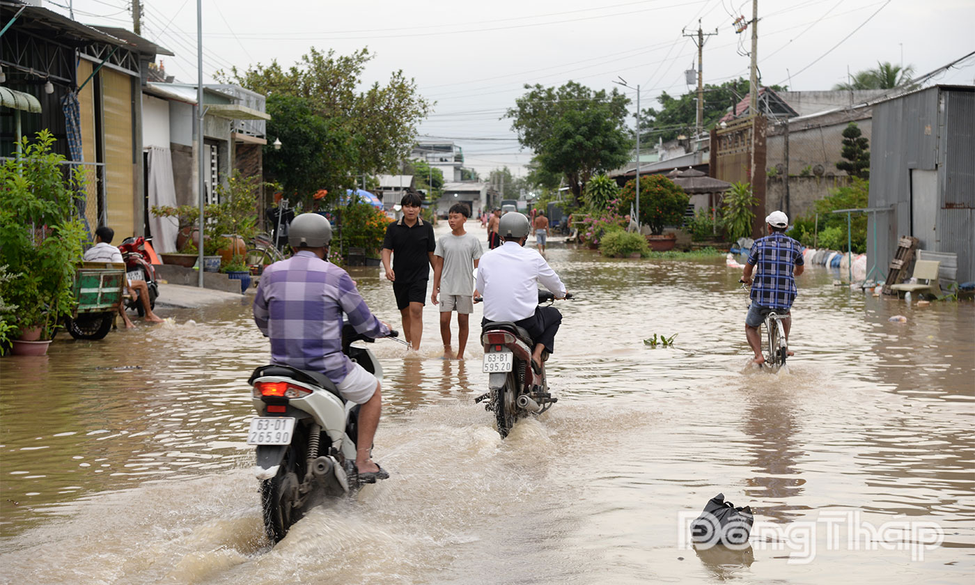 Triều cường dâng cao tại khu vực bến phà Mỹ Thuận cũ thuộc xã An Hữu, tỉnh Đồng Tháp.
