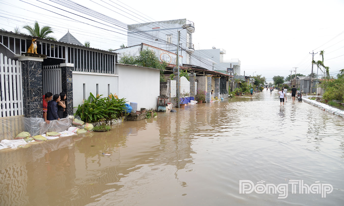 Người dân xã An Hữu dùng các vật dụng để ngăn nước tràn vào nhà.