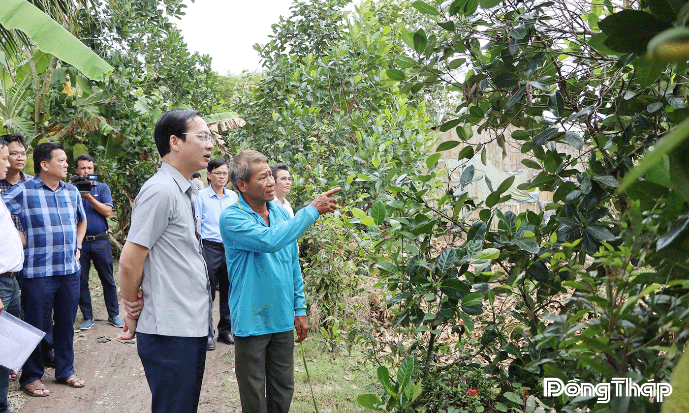 Lãnh đạo UBND tỉnh, thăm hỏi người dân có vườn cây bị thiệt hại tại xã Mỹ Thiện.