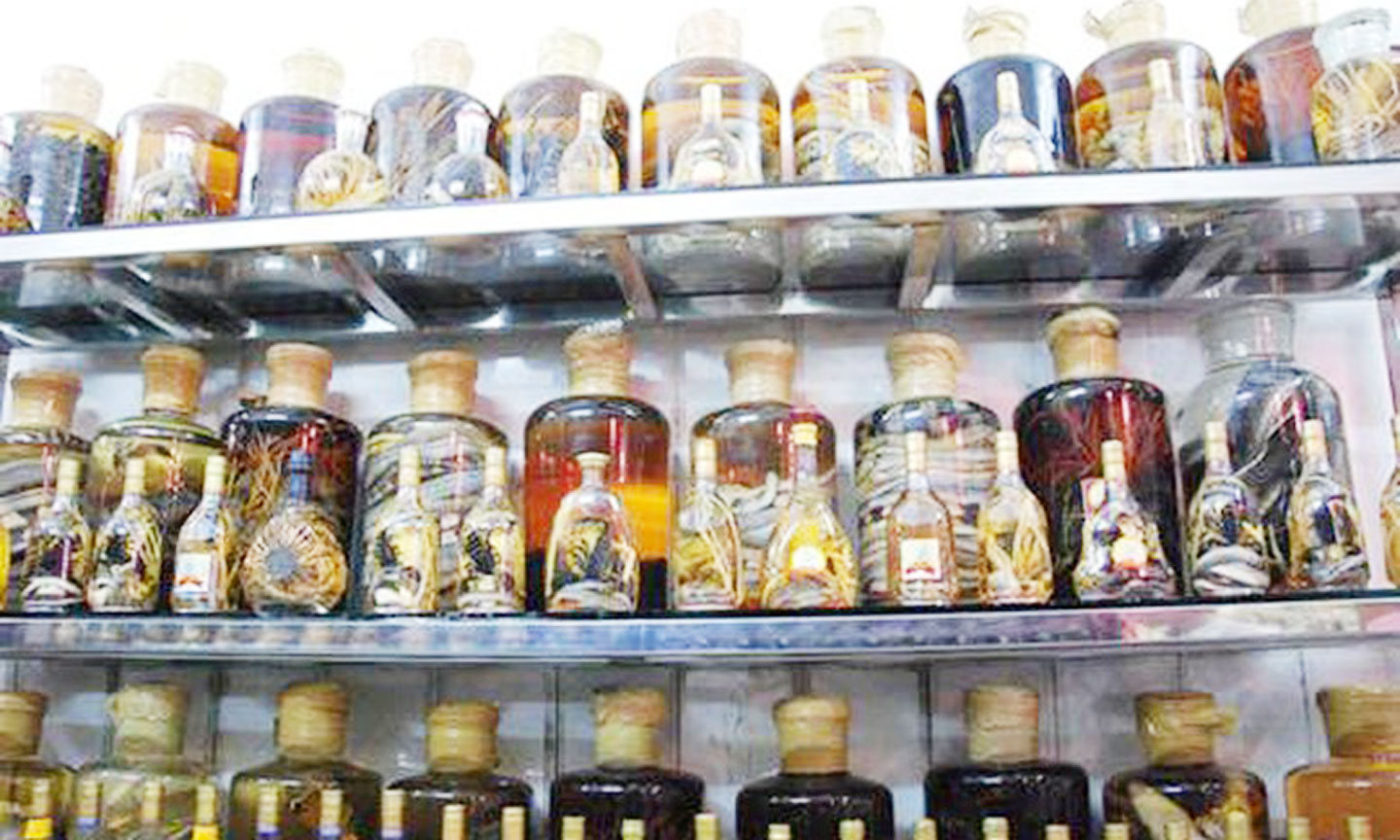 Rượu thuốc cũng giống như con dao 2 lưỡi, sẽ phản tác dụng nếu dùng sai cách. Ảnh minh họa