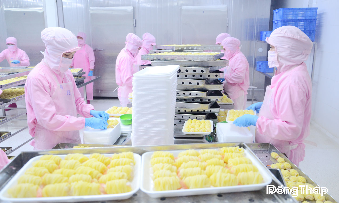 Hoạt động xuất khẩu là điểm sáng trong bức tranh kinh tế - xã hội của tỉnh trong những tháng đầu năm.