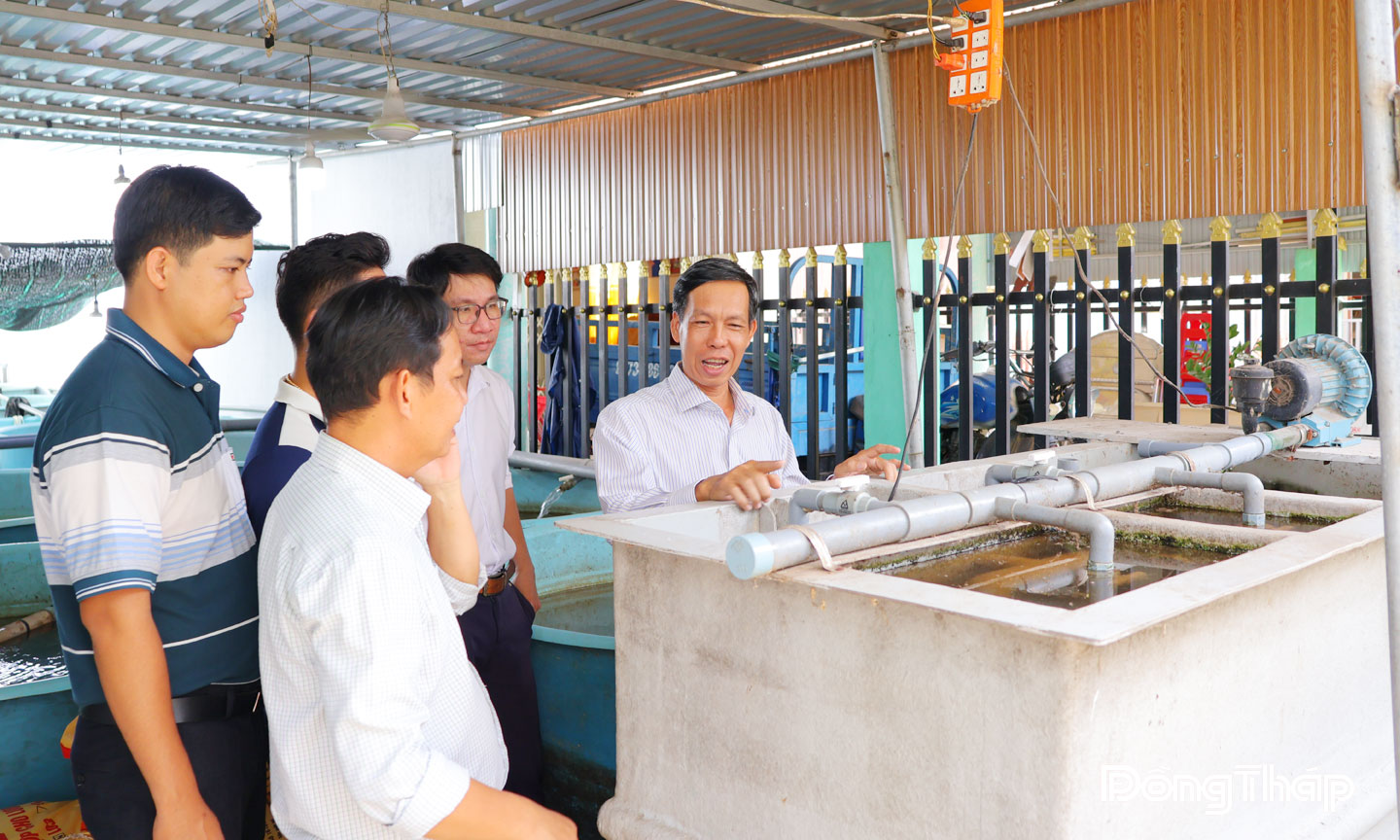 Hệ thống xử lý nước tuần hoàn giúp nông dân giảm chi phí đầu tư, giảm thiểu ô nhiễm môi trường nâng cao  chất lượng cho sản phẩm lươn thương phẩm.