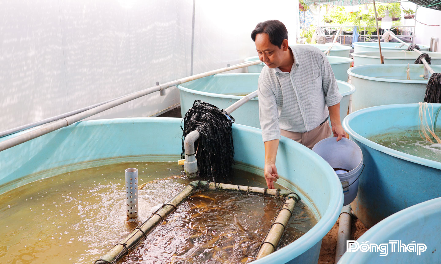 chất thải trong quá trình nuôi lươn sẽ được giữ lại tại bể lọc vi sinh,  vi sinh vật phân hủy đạm dư thừa còn lại trong nước, từ đó giúp môi trường nuôi luôn ổn định.