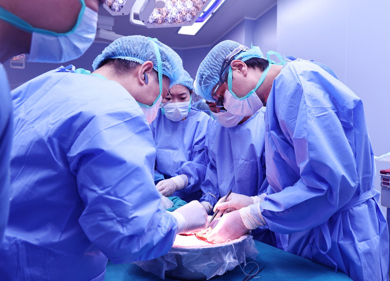 Bác sĩ chia lá gan người hiến.