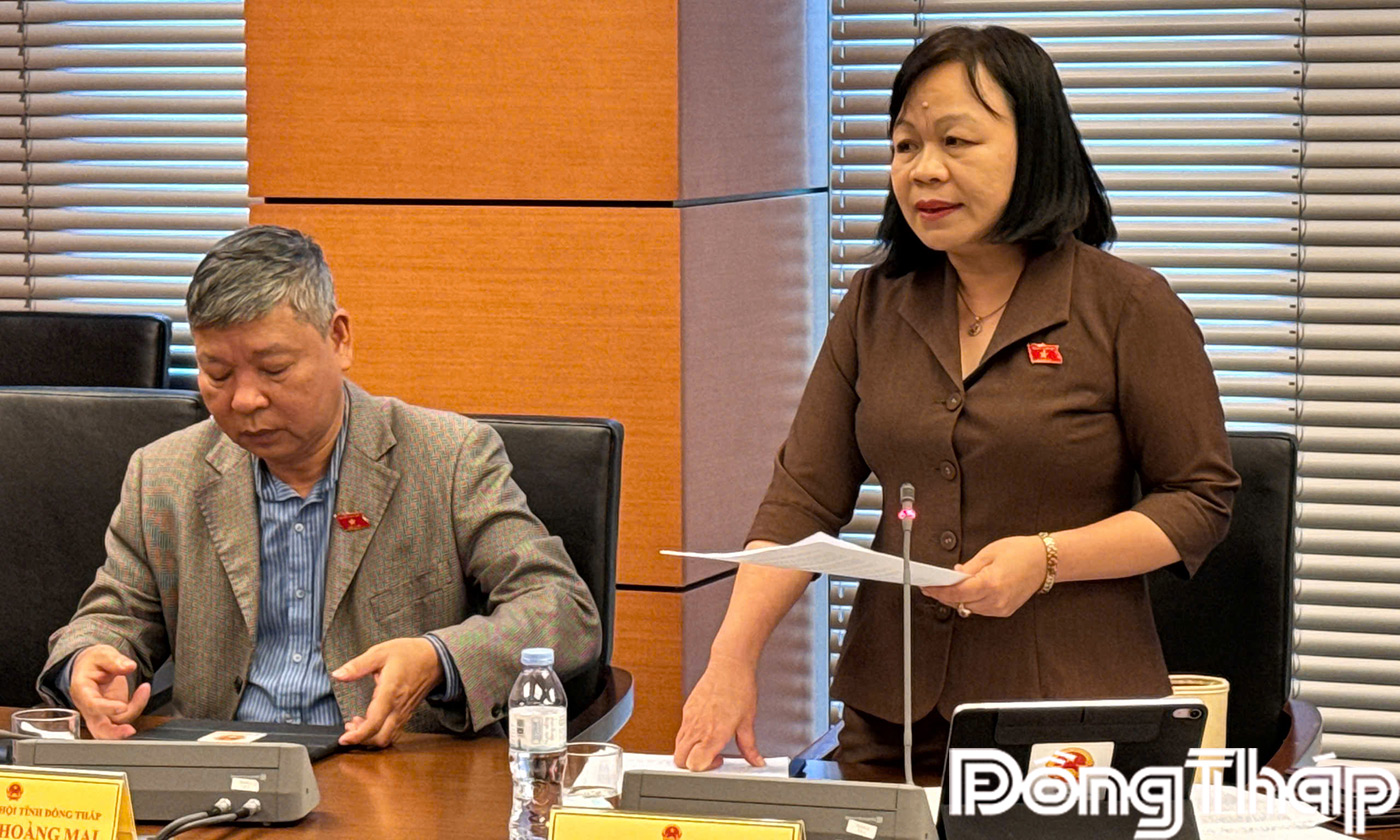 Đại biểu Nguyễn Thị Mai Hoa phát biểu thảo luận