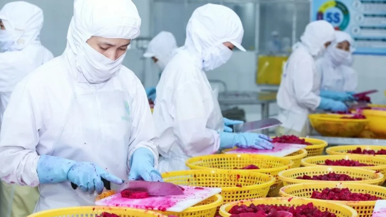 Xuất khẩu rau quả tháng 10/2025 ước đạt 961 triệu USD.