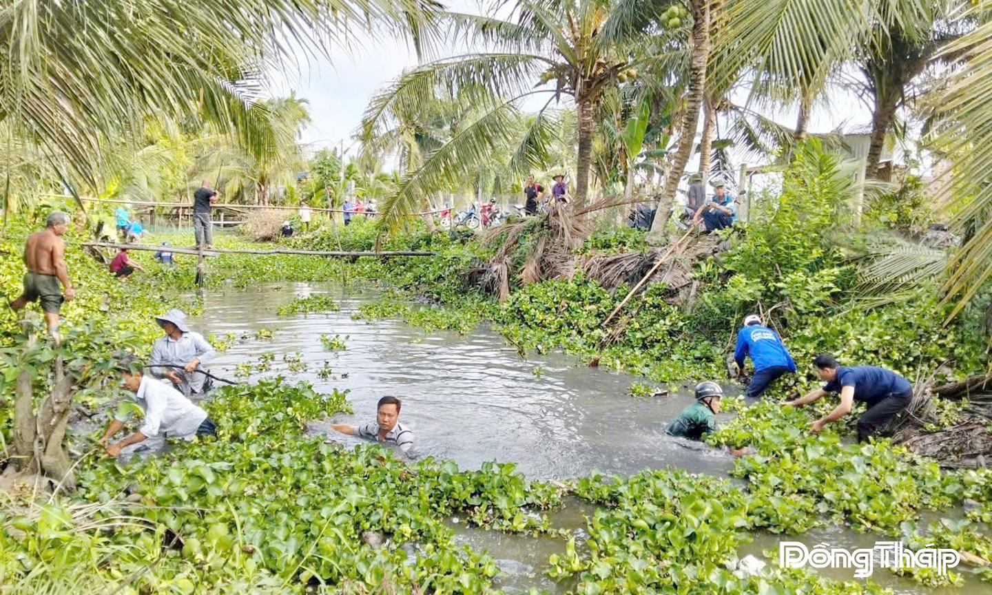 Ủy ban Mặt trận Tổ quốc Việt Nam xã Tân Phú tổ chức vớt lục bình, khai thông dòng chảy.