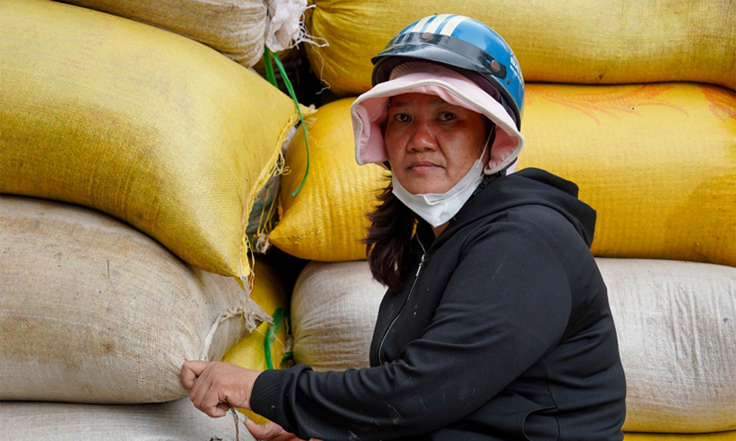 Nông dân ở ấp Trung Liêm, xã Tuyên Bình thu hoạch lúa non chạy lũ. Ảnh: Hoàng Nam