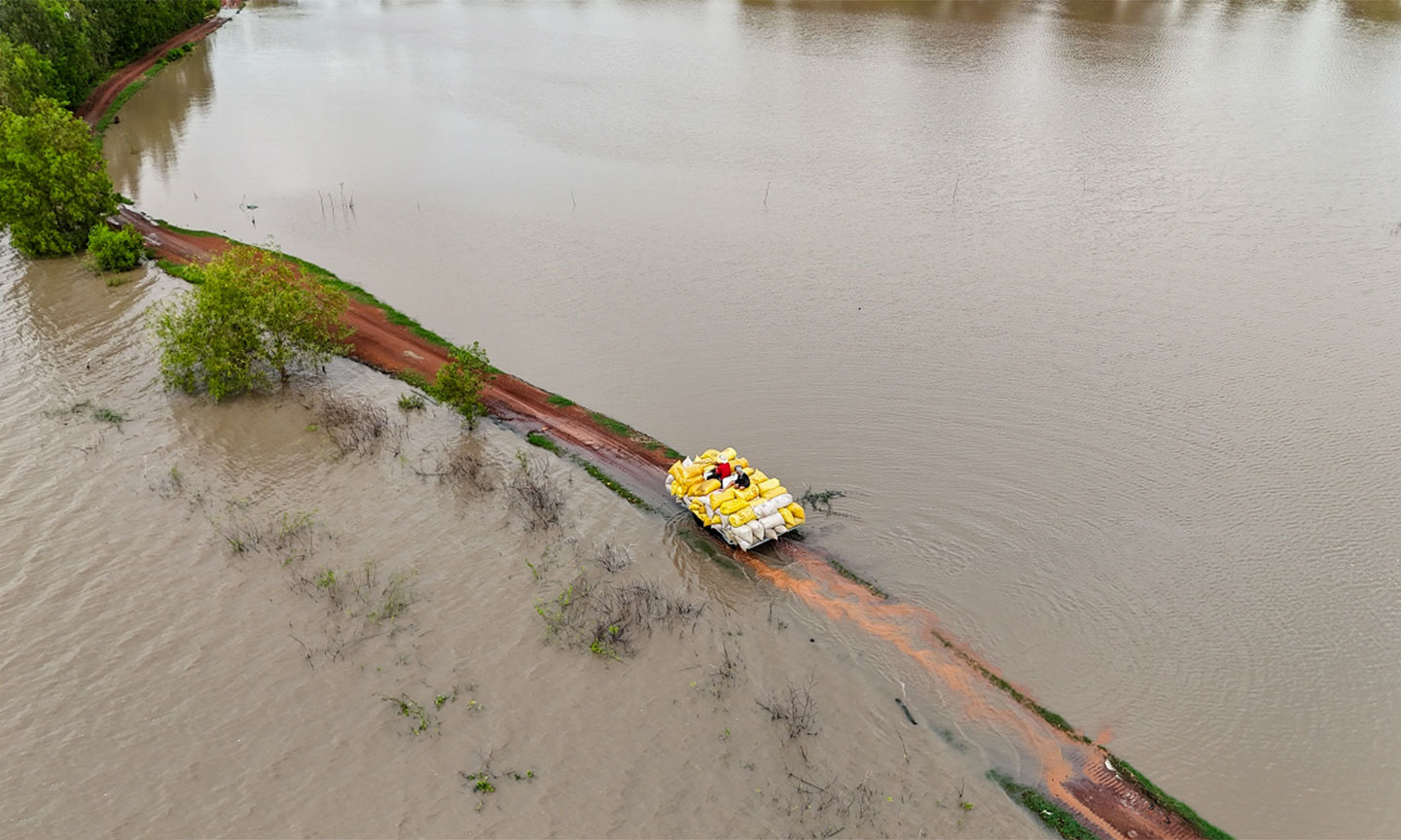 Máy kéo lội qua đoạn đường bị ngập nhiều chỗ giữa đồng lũ đưa lúa về nhà. Ảnh: Hoàng Nam