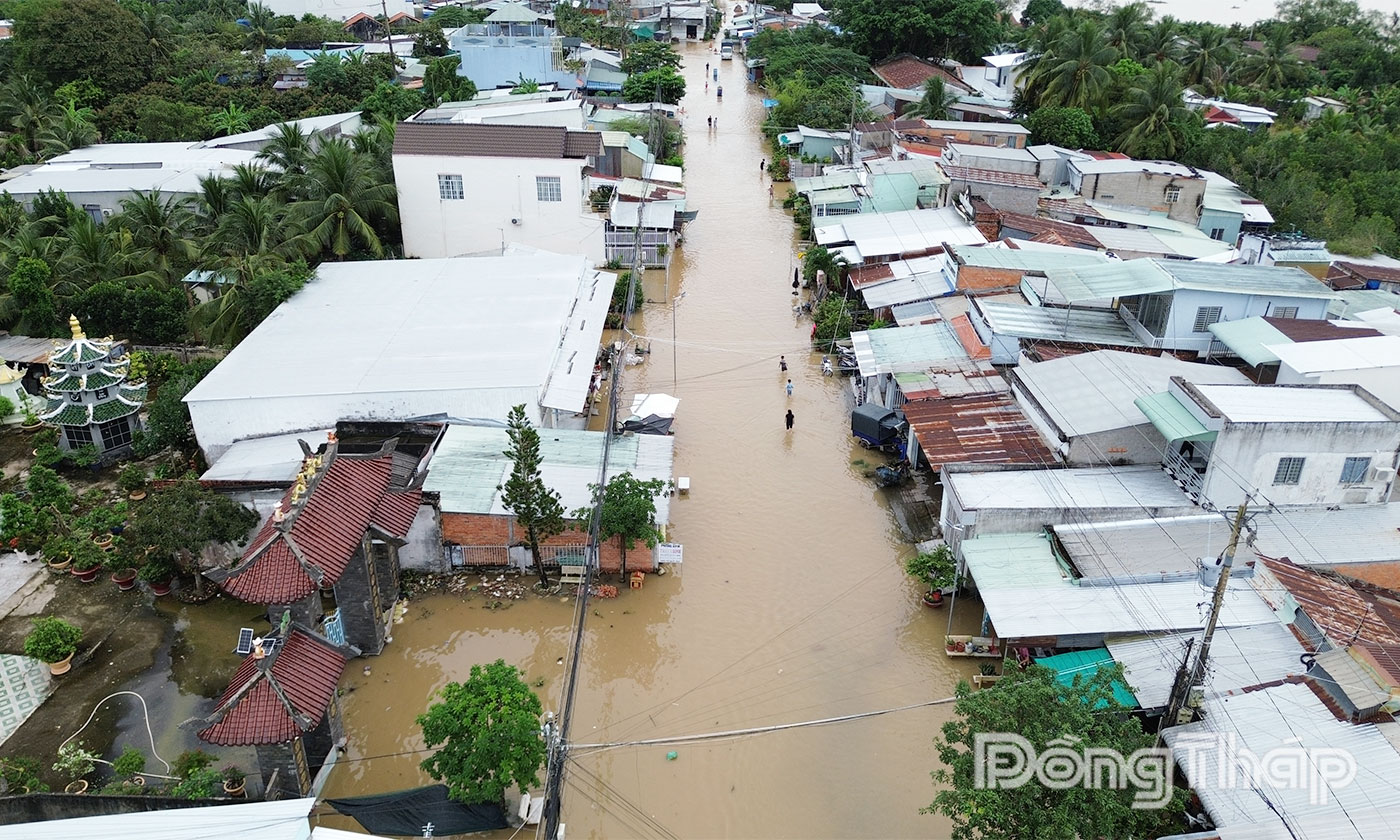 Triều cường gây ngập tại khu vực bến phà Mỹ Thuận cũ (xã An Hữu, tỉnh Đồng Tháp).