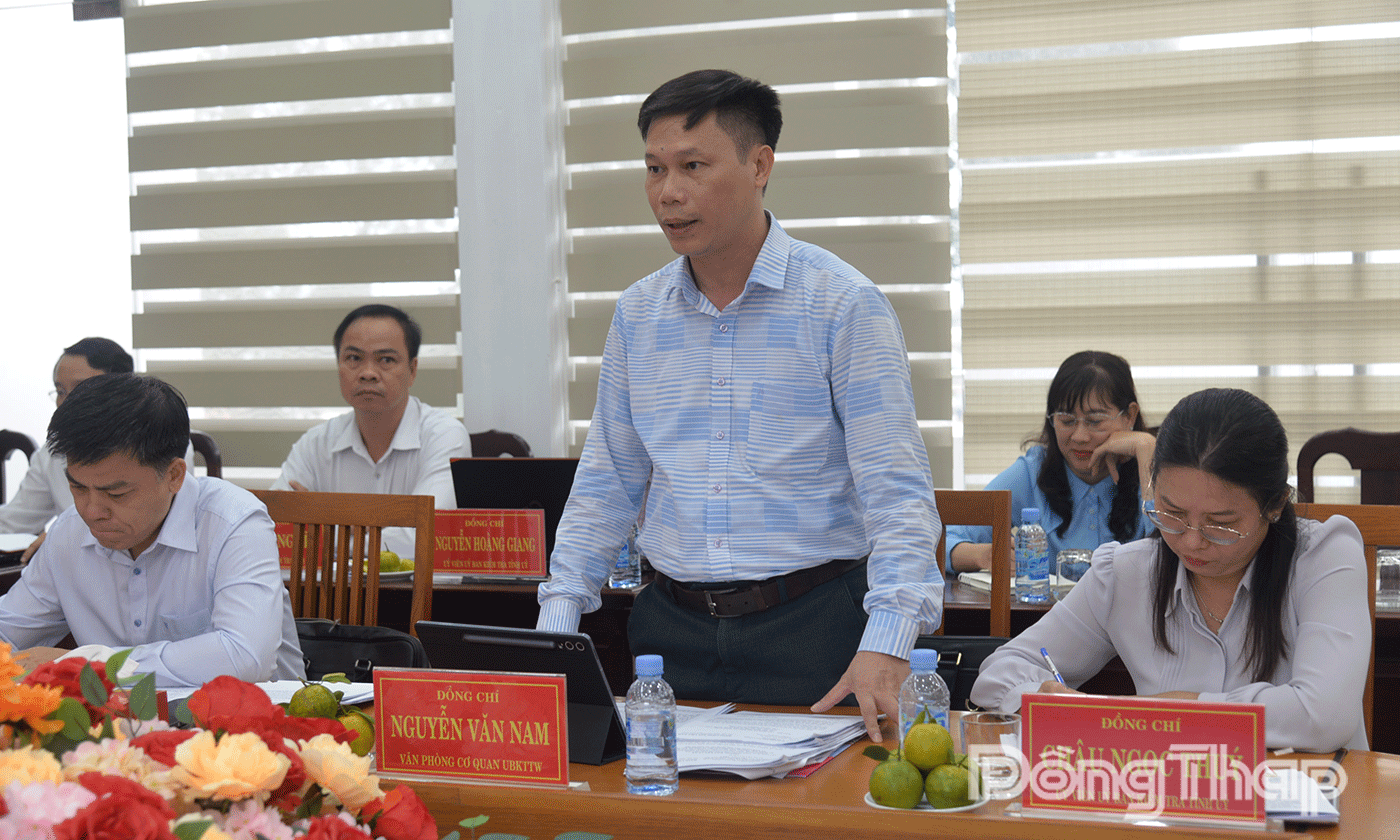 Thành viên Tổ khảo sát phát biểu.