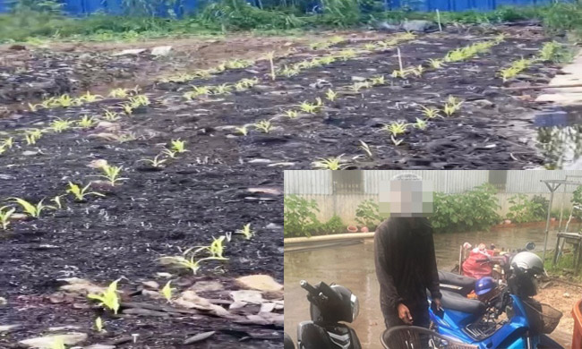 Bị can Nguyễn Văn Tân và Trồng cây xanh phủ xanh khu vực bị ô nhiễm. Ảnh Thành Nguyễn – Phòng CSKT