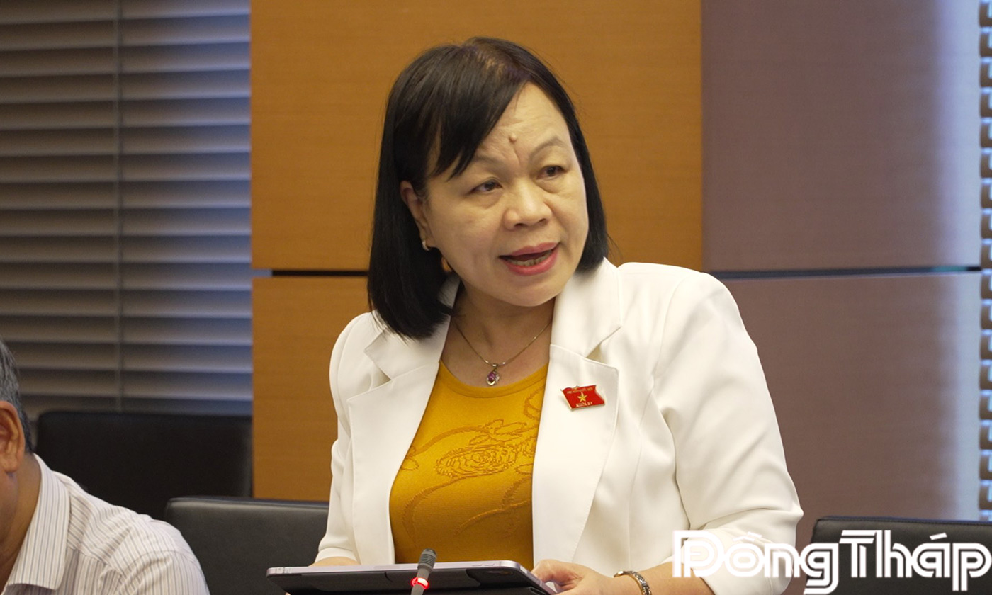 Đại biểu Nguyễn Thị Mai Hoa phát biểu thảo luận