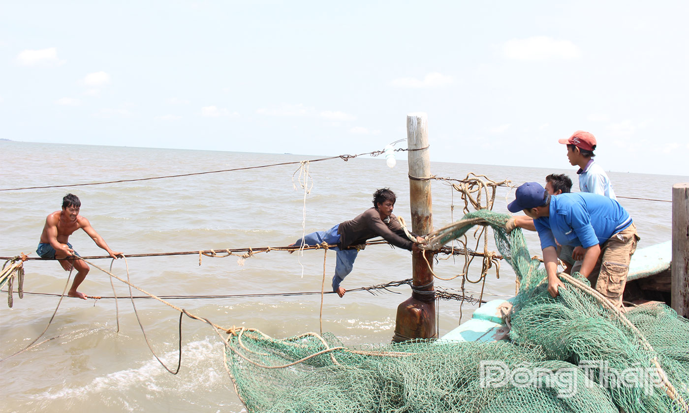 Đến cuối năm 2030, tỉnh phấn đấu giảm và chuyển đổi 76/307 tàu khai thác ở vùng ven bờ.