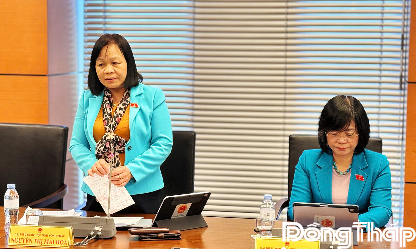 Đại biểu Nguyễn Thị Mai Hoa phát biểu thảo luận