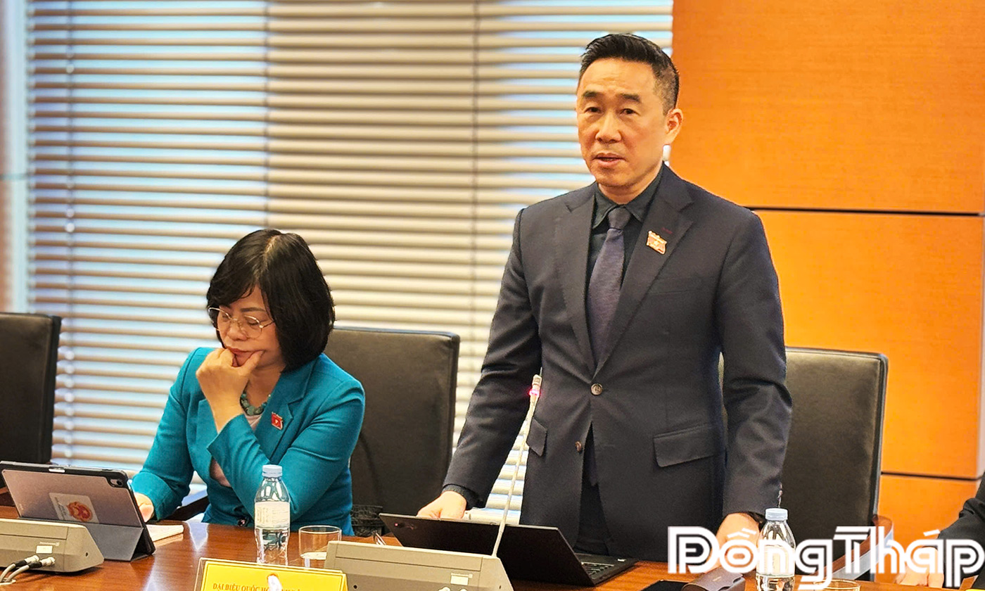 Đại biểu Nguyễn Hải Anh phát biểu thảo luận