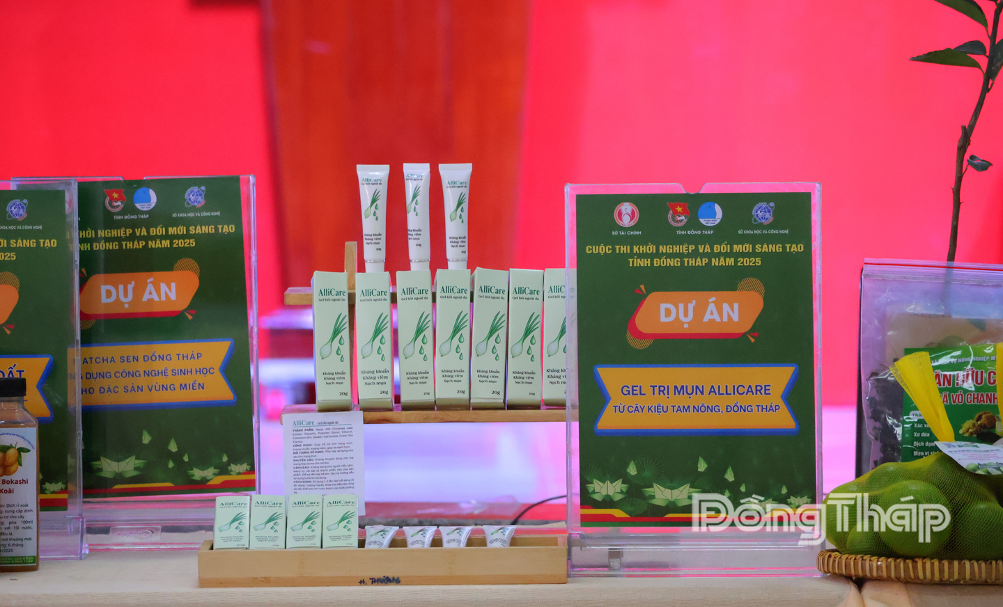 Sản phẩm Gel trị mụn Allicare từ cây kiệu Tam Nông Đồng Tháp .