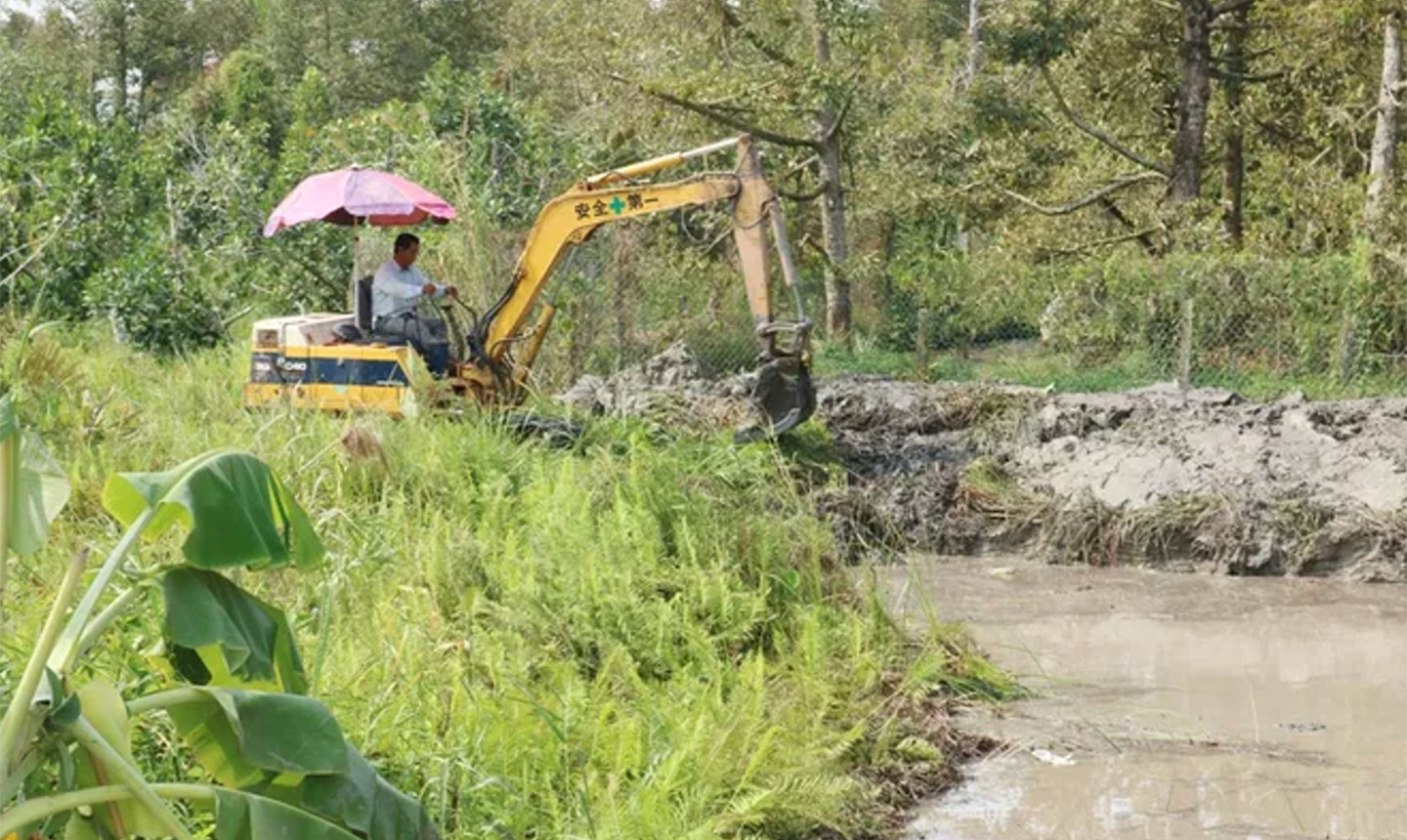  Ngành chức năng tỉnh Đồng Tháp triển khai gia cố đê bao bảo vệ vụ Đông Xuân 2025-2026 