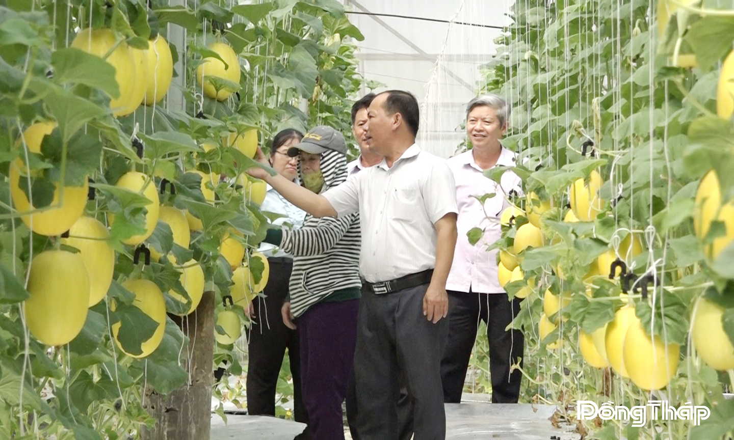 Nhiều mô hình phát triển kinh tế hiệu quả góp phần xây dựng nông thôn mới.