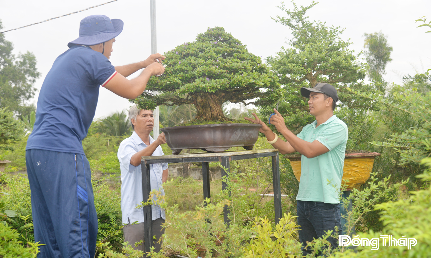 Anh Nguyễn Văn Sắt (bên phải) chia sẻ kỹ thuật chăm sóc cây kiểng.