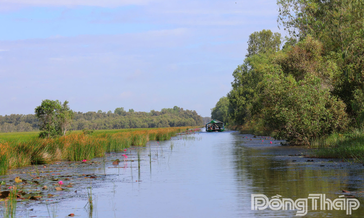 Du khách tham quan trải nghiệm xuồng kéo tại Vườn Quốc gia Tràm Chim.