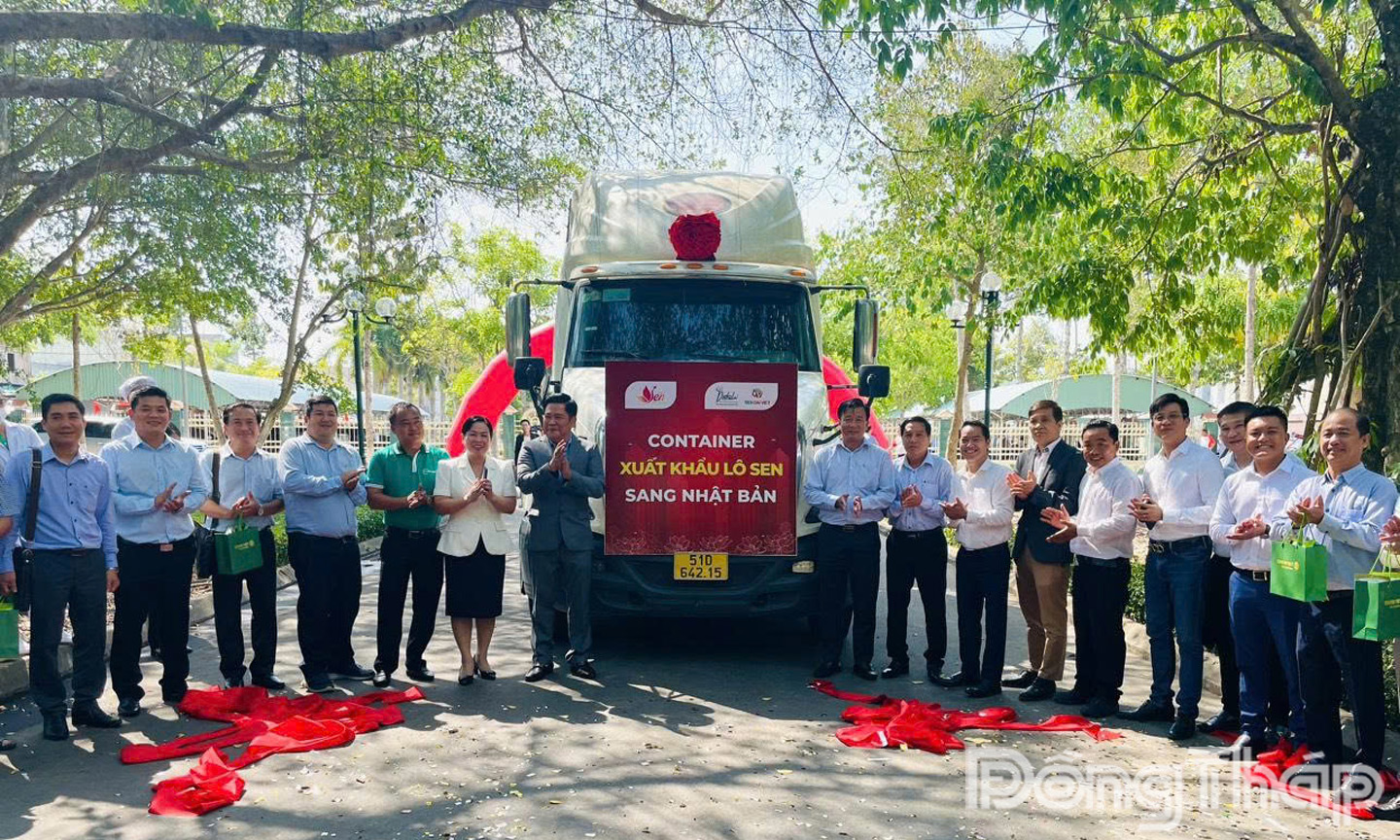 Tháng 5-2024, tại huyện Tháp Mười, nay là xã Tháp Mười, Công ty Cổ phần Sen Đại Việt phối hợp Hội Ngành hàng sen Đồng Tháp tổ chức lễ công bố xuất khẩu lô sen sang thị trường Nhật Bản.