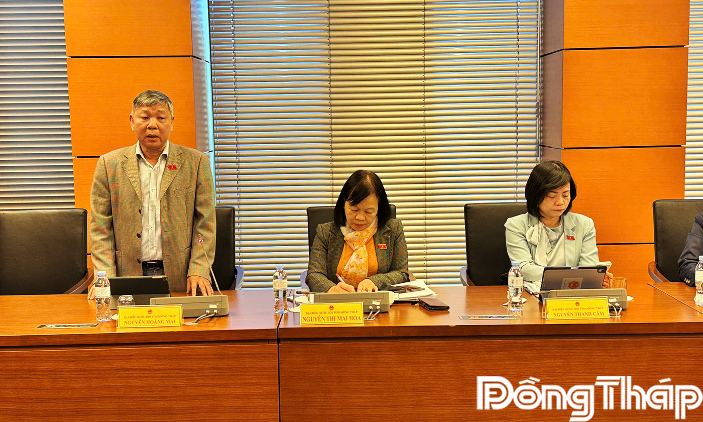 Đại biểu Nguyễn Hoàng Mai phát biểu thảo luận 