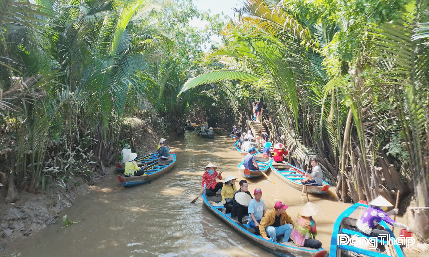 Tiếng mái chèo khua nước vẫn vang lên mỗi ngày trên cù lao Thới Sơn.