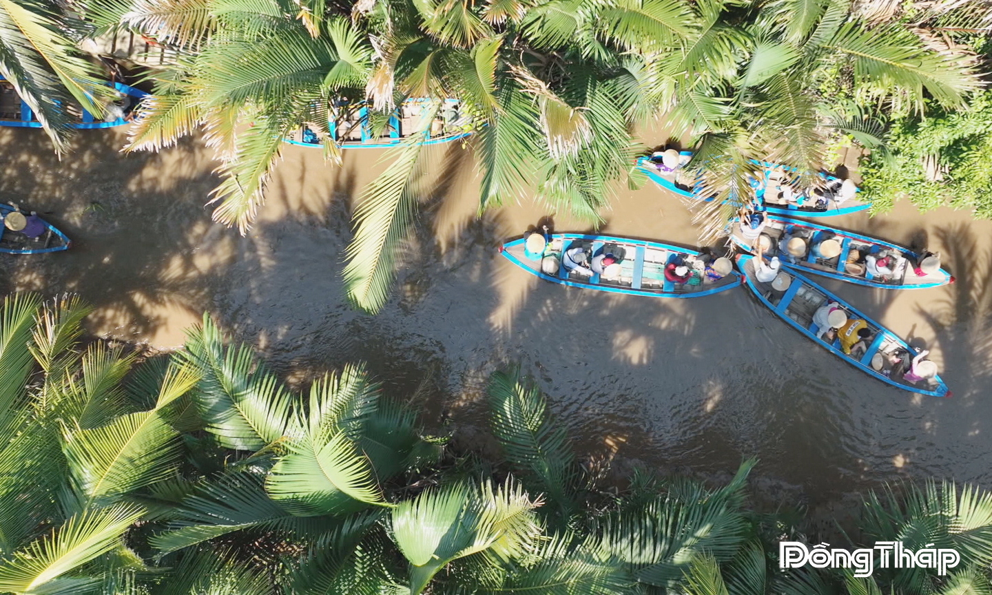 Chèo đò đưa du khách khám phá hệ thống kinh, rạch tại cù lao Thới Sơn.