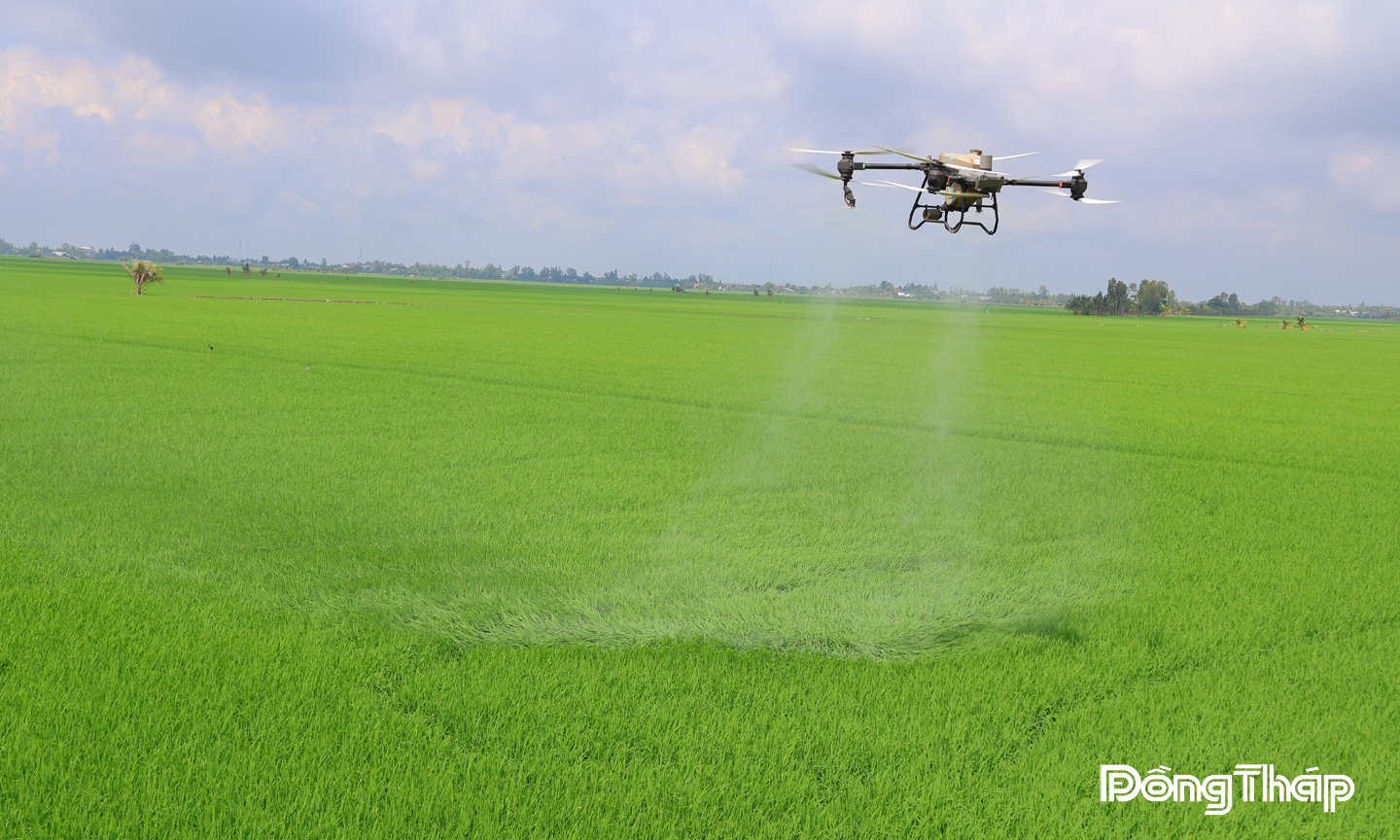 Nông dân xã An Long đẩy mạnh ứng dụng công nghệ trong sản xuất giúp giảm công lao động và chi phí trong sản 