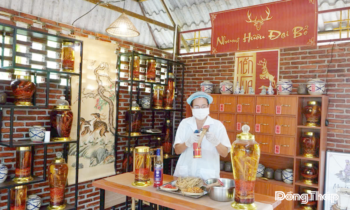 Chế biến nhung tươi tại chỗ cho khách.